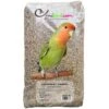 Agapornides - Ornibird, Mélange Pour Inséparables 20kg -Deli Natury Boutique agapornides ornibird melange pour inseparables 20kg 700129 private label ornibird melange de graines pour agapornides inseparabl