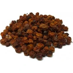 Baie De Sorbier Des Oiseleurs Au Kg - Ornibird -Deli Natury Boutique baie de sorbier des oiseleurs au kg ornibird 103041250 kg grizo baie du sorbier en fruit seche dont les becs crochus indigenes e 3