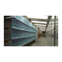 Batterie De 12 Cages 64x30x34 Modèle Champion- New Canariz -Deli Natury Boutique batterie de 12 cages 64x30x34 modele champion new canariz 3000 new canariz livree avec un systeme de rouleaux de papier comme fo 18