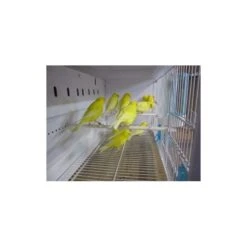 Batterie De 12 Cages 64x30x34 Modèle Champion- New Canariz -Deli Natury Boutique batterie de 12 cages 64x30x34 modele champion new canariz 3000 new canariz livree avec un systeme de rouleaux de papier comme fo 2