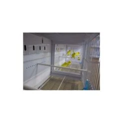 Batterie De 12 Cages 64x30x34 Modèle Champion- New Canariz -Deli Natury Boutique batterie de 12 cages 64x30x34 modele champion new canariz 3000 new canariz livree avec un systeme de rouleaux de papier comme fo 4