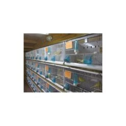 Batterie De 12 Cages 64x30x34 Modèle Champion- New Canariz -Deli Natury Boutique batterie de 12 cages 64x30x34 modele champion new canariz 3000 new canariz livree avec un systeme de rouleaux de papier comme fo 5