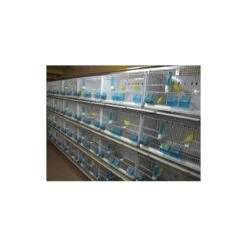 Batterie De 12 Cages 64x30x34 Modèle Champion- New Canariz -Deli Natury Boutique batterie de 12 cages 64x30x34 modele champion new canariz 3000 new canariz livree avec un systeme de rouleaux de papier comme fo 8