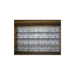 Batterie De 12 Cages 64x30x34 Modèle Champion- New Canariz -Deli Natury Boutique batterie de 12 cages 64x30x34 modele champion new canariz 3000 new canariz livree avec un systeme de rouleaux de papier comme fo 9