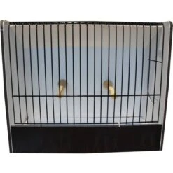 Cage Exposition Canari Noir En PVC