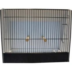 Cage Exposition Grandes Perruches Noir En PVC