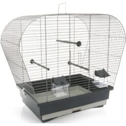 Cage Pour Oiseaux Catho
