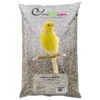 Canaris - Ornibird, Mélange Pour Canaris 20kg 1 Canaris - Ornibird, Mélange Pour Canaris 20kg -Deli Natury Boutique canaris ornibird melange pour canaris 20kg 700120 private label ornibird melange de graines pour canaris composition graines dal