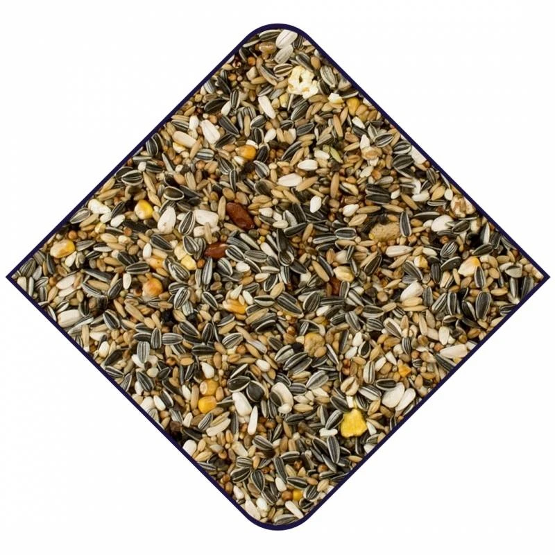 Expert Base Perroquets 15kg - Witte Molen 4 Expert Base Perroquets 15kg - Witte Molen – Image 2