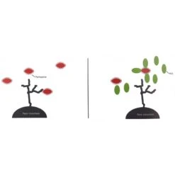 Flora+ 250gr - Deli Nature 6 Flora+ 250gr - Deli Nature -Deli Natury Boutique flora 250gr deli nature 023067 deli nature flora est un stabilisateur intestinal avec un effet probiotique developpe grace a une 1