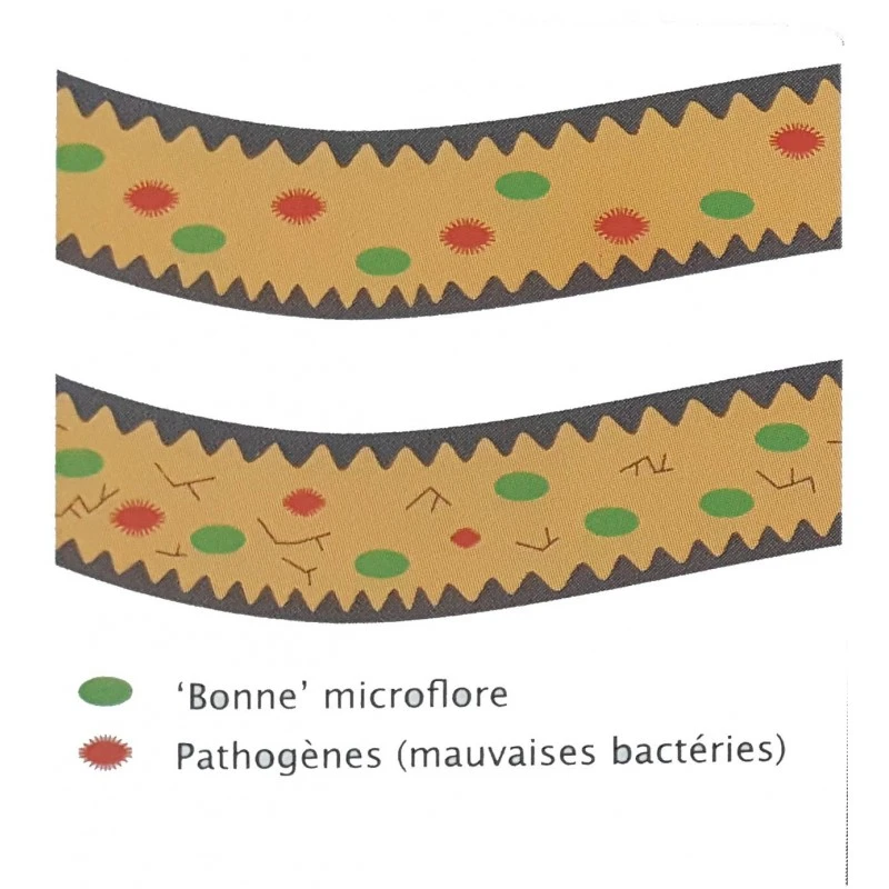 Flora+ 250gr - Deli Nature 5 Flora+ 250gr - Deli Nature – Image 3