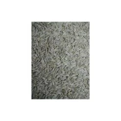 Graines De Salade Blanche (laitue Blanche) 25kg - Grizo