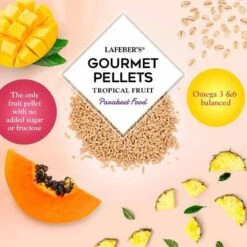 Granulés Gourmands Fruits Tropicaux Parrot 1,8kg - Lafeber's -Deli Natury Boutique granules gourmands fruits tropicaux parrot 18kg lafebers lf52652 lafebers le lafeber gourmet pellets tropical fruit parrot est u 1