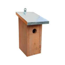 Le Plus Hivernal Toit En Bois Massif