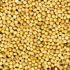 Millet Blanc Extra 20kg - Duvo 5 Millet Blanc Extra 20kg - Duvo -Deli Natury Boutique millet blanc extra 20kg duvo 570 duvo millet blanc extra 20kg duvo 1