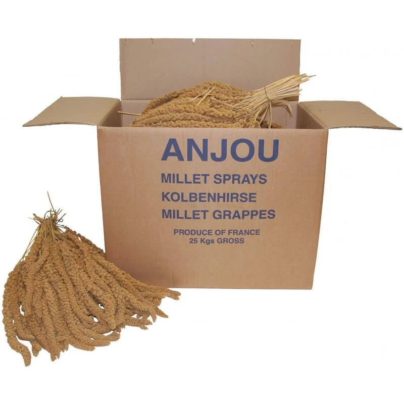 Millet Jaune En Grappes Anjou 25kg 3 Millet Jaune En Grappes Anjou 25kg
