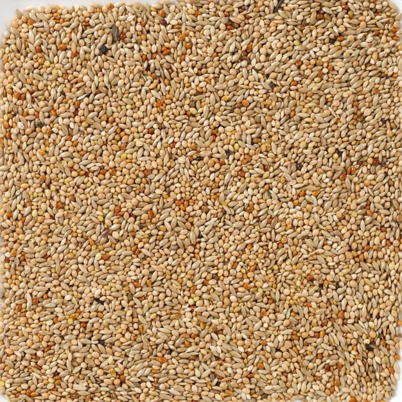 N°40 Oiseaux Exotiques Base 20kg - Deli Nature 4 N°40 Oiseaux Exotiques Base 20kg - Deli Nature – Image 2