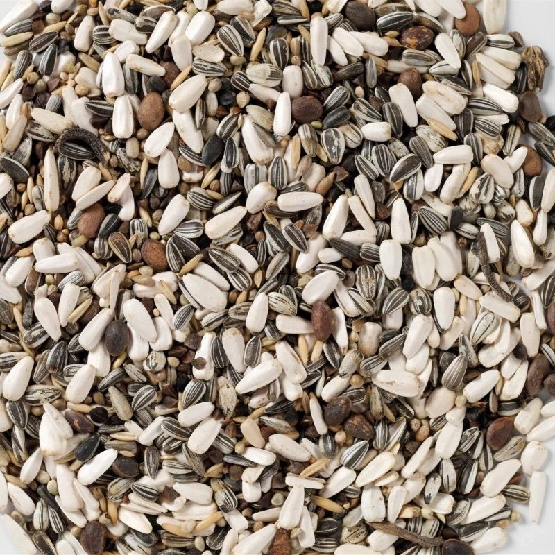 N°62 Perroquets Elevage 15kg - Deli Nature 4 N°62 Perroquets Elevage 15kg - Deli Nature – Image 2