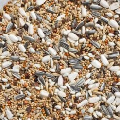 Deli Natury Boutique -Deli Natury Boutique n69 grandes perruches avec tournesols 20kg deli nature 006469 deli nature est un melange tres varie contenant 10 de graines de t 1