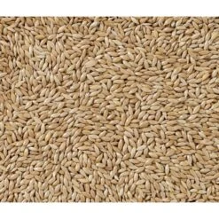 N°86 Alpistes Extra 20kg - Deli Nature -Deli Natury Boutique n86 alpistes extra 20kg deli nature 002986 deli nature n86 alpistes extra 20kg deli nature 1