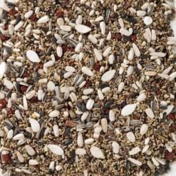 N°90 Durbecs Des Sapins Et Becs-Croisés 15kg - Deli Nature -Deli Natury Boutique n90 durbecs des sapins et becs croises 15kg deli nature 006590 deli nature est un melange specifique adapte aux besoins des durb 1