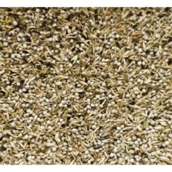 N°98 Tarins Américains 12,5kg - Deli Nature -Deli Natury Boutique n98 tarins americains 125kg deli nature 006598 deli nature est un melange tres varie avec une forte proportion de dactyle peloto 1