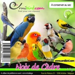 Noix De Cèdre Au Kg - Ornibird -Deli Natury Boutique noix de cedre au kg ornibird 103013250 kg private label ornibird noix de cedre au kg ornibird 1