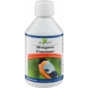Oregano Vloeibaar / Oregano Liquid 250ml - Avian 2 Oregano Vloeibaar / Oregano Liquid 250ml - Avian -Deli Natury Boutique oregano vloeibaar oregano liquid 250ml avian 11397 avian avian liquide dorigan est un aliment complementaire pour les oiseaux on