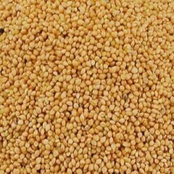 Panis Jaune 20kg - Duvo -Deli Natury Boutique panis jaune 20kg duvo 473 duvo panis jaune 20kg duvo 1