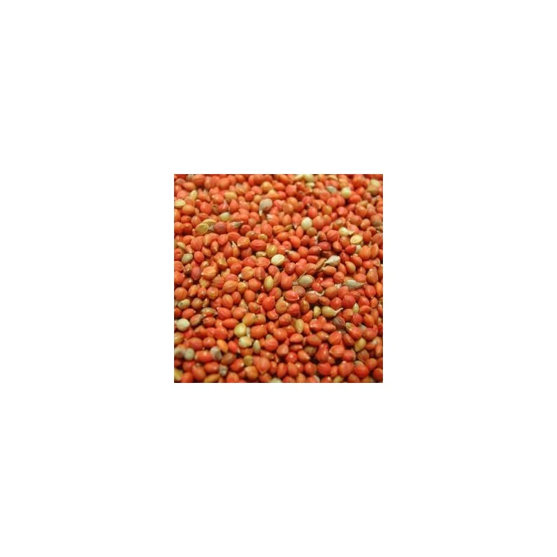 Panis Rouge 25kg - Beyers 4 Panis Rouge 25kg - Beyers â Image 2