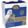 Patée Aux Oeufs Bianco Grasse 4kg - Deli Nature 2 Patée Aux Oeufs Bianco Grasse 4kg - Deli Nature -Deli Natury Boutique patee aux oeufs bianco grasse 4kg deli nature 040516 deli nature la patee aux oeufs bianco grasse est prete a etre utiliser pour