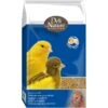 Patée Aux Oeufs Jaune Grasse 10kg - Deli Nature -Deli Natury Boutique patee aux oeufs jaune grasse 10kg deli nature 040522 deli nature la patee aux oeufs jaune grasse est une patee aux oeufs prete a