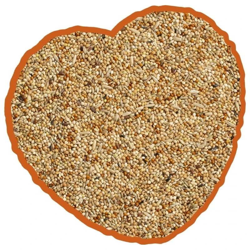 Perruche Mix 20kg - Duvo+ 4 Perruche Mix 20kg - Duvo+ – Image 2