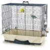 Primo 40 Argent 46x32x48cm - Savic 1 Primo 40 Argent 46x32x48cm - Savic -Deli Natury Boutique primo 40 argent 46x32x48cm savic 112114130 grizo le primo 40 est une cage a oiseaux pour canaris et oiseaux exotiques la cage es
