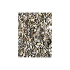 Tournesol Strié Large Marica/Toma 12,5kg - Grizo