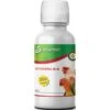 Vitamina B+K - Aliment Complémentaire 1L - Avianvet 2 Vitamina B+K - Aliment Complémentaire 1L - Avianvet -Deli Natury Boutique vitamina b k aliment complementaire 1l avianvet 25967 avianvet vitamin b k avianvet est un aliment complementaire pour oiseaux r