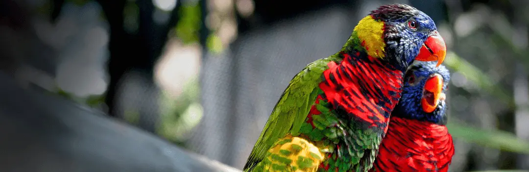 Deli Natury Boutique -Deli Natury Boutique