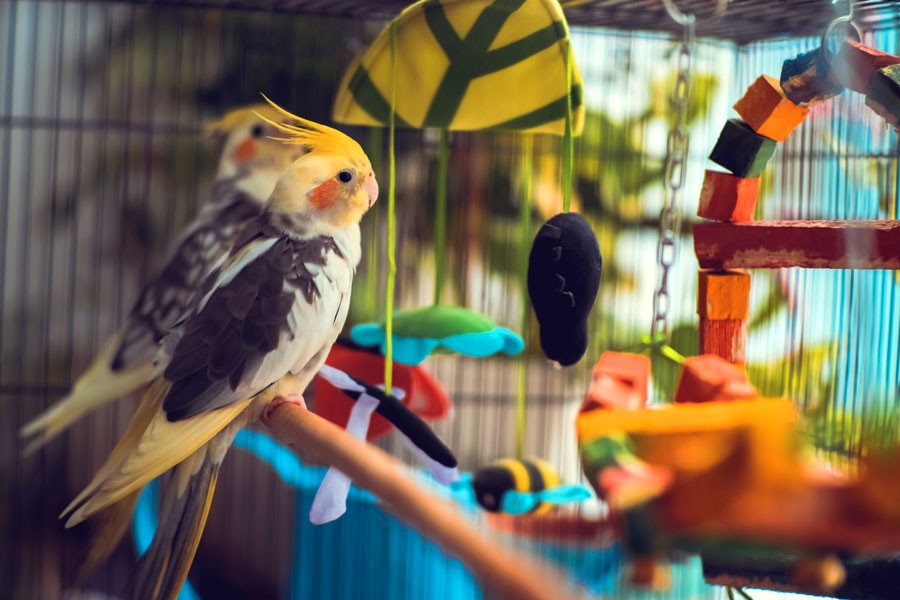 Deli Natury Boutique -Deli Natury Boutique