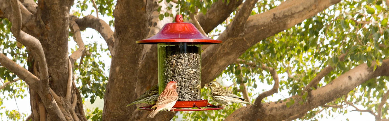 Deli Natury Boutique -Deli Natury Boutique